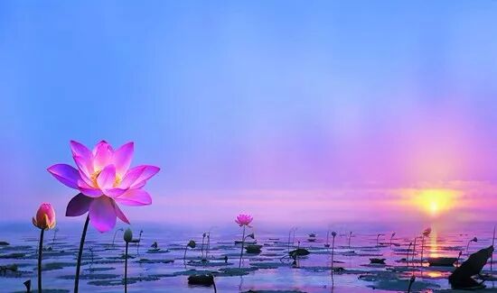 【祖师开示】蕅益大师：念佛工夫，只贵真实信心！