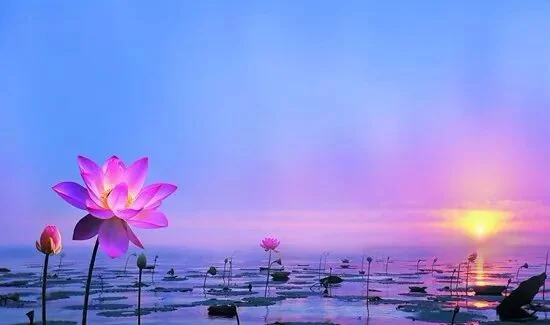 【祖师开示】蕅益大师：念佛工夫，只贵真实信心！