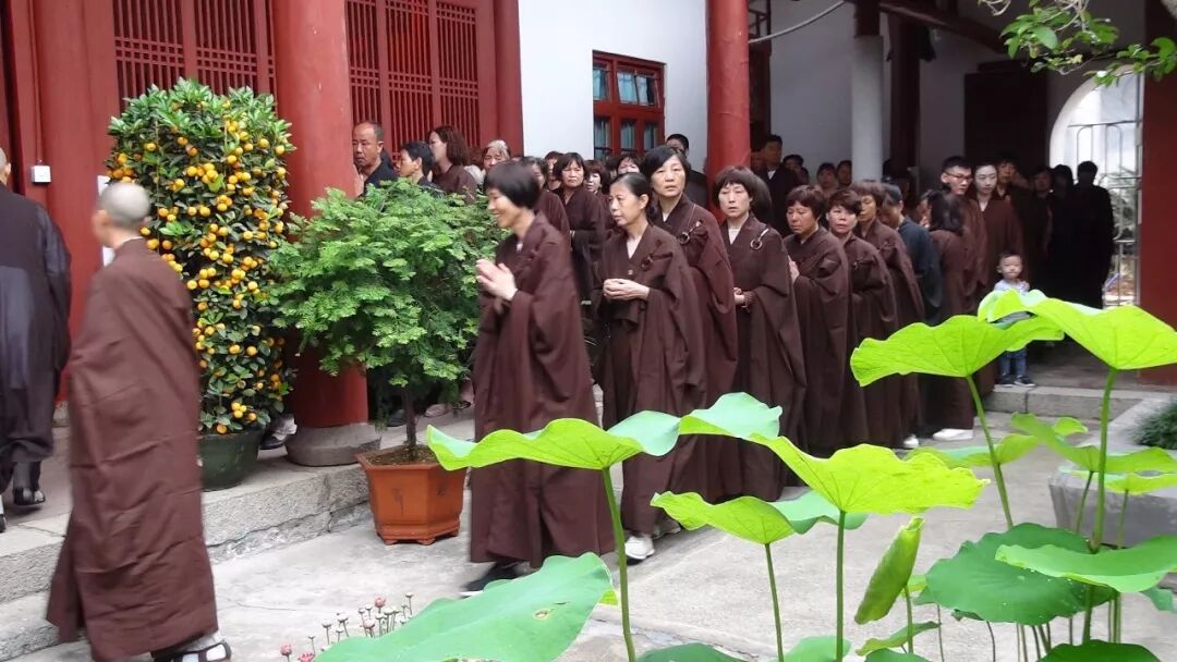 【灵石剪影】灵石律寺 2018 “感念佛恩，浴佛净心“法会