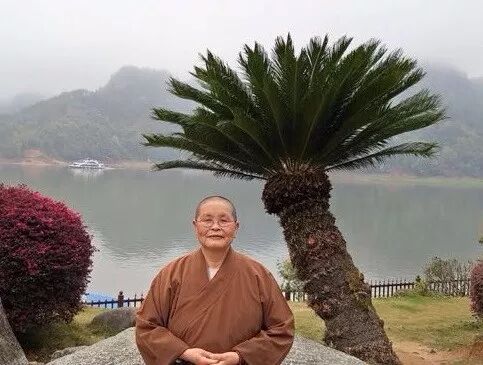 【追思悼念】上慧下本师父圆寂一月前的辞世偈