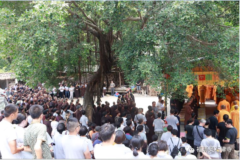 【追思剪影】本寺住持上慧下本师父荼毗仪式在莆田广化寺举行！