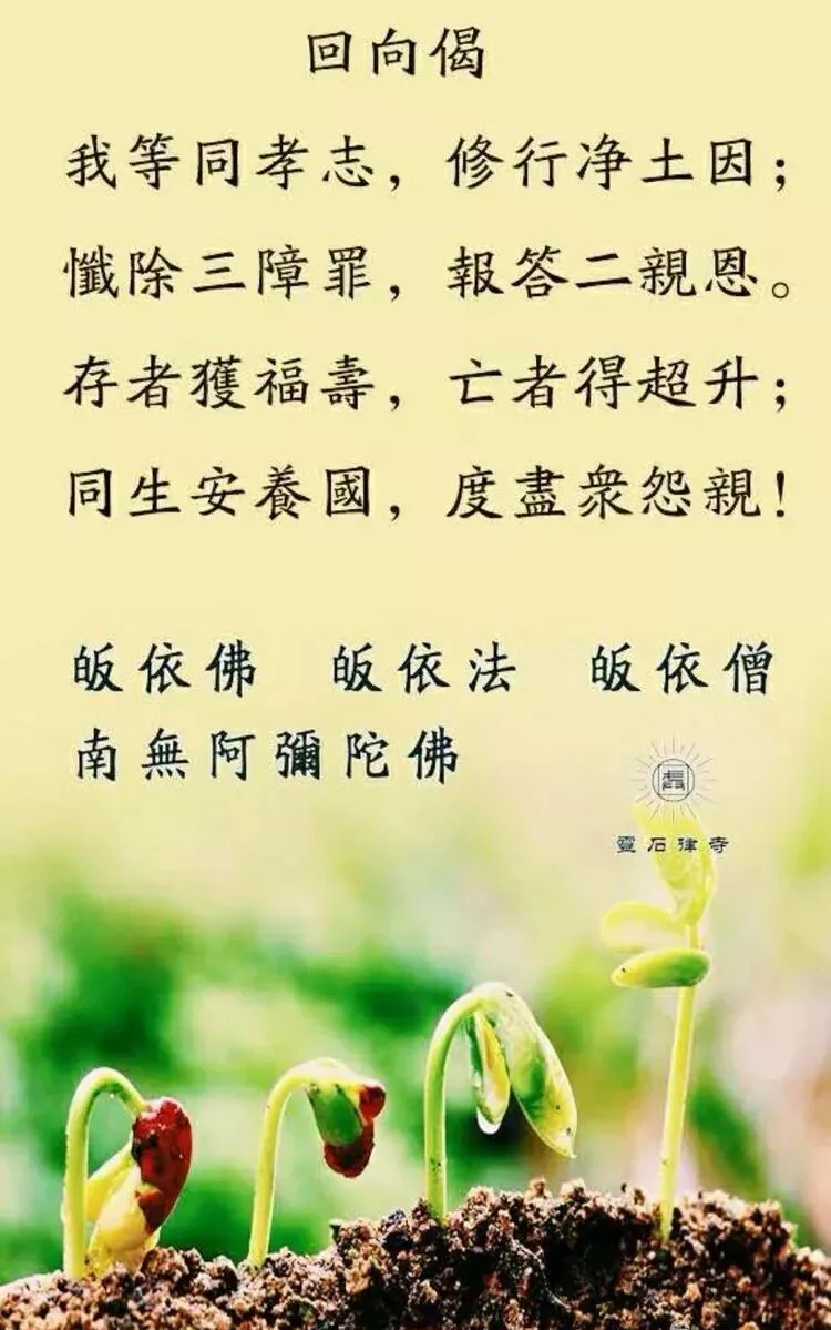 【佛菩萨圣诞专题法语】恭诵《大势至菩萨念佛圆通章》，至诚回向住持师父莲增上品，乘愿再来！