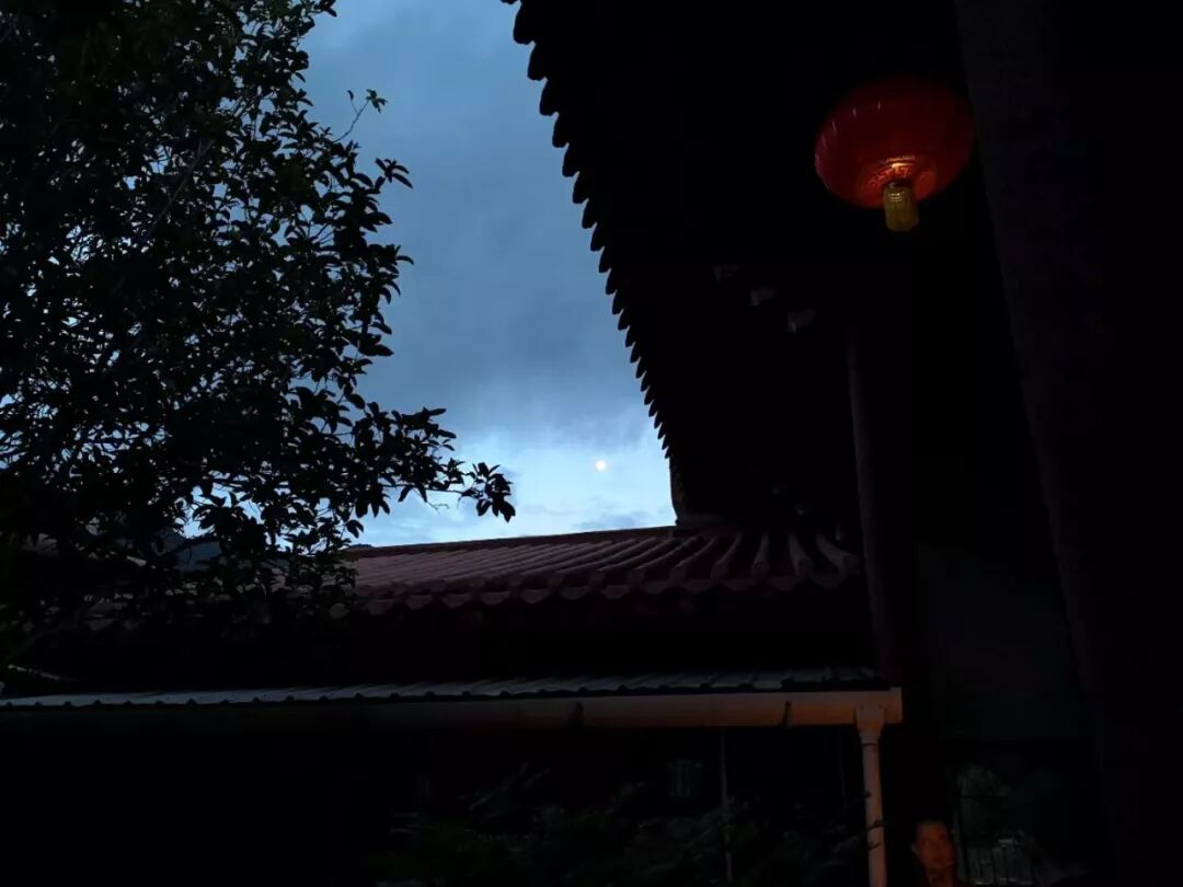 【追思剪影之十一】四七追思报恩法会今日圆满