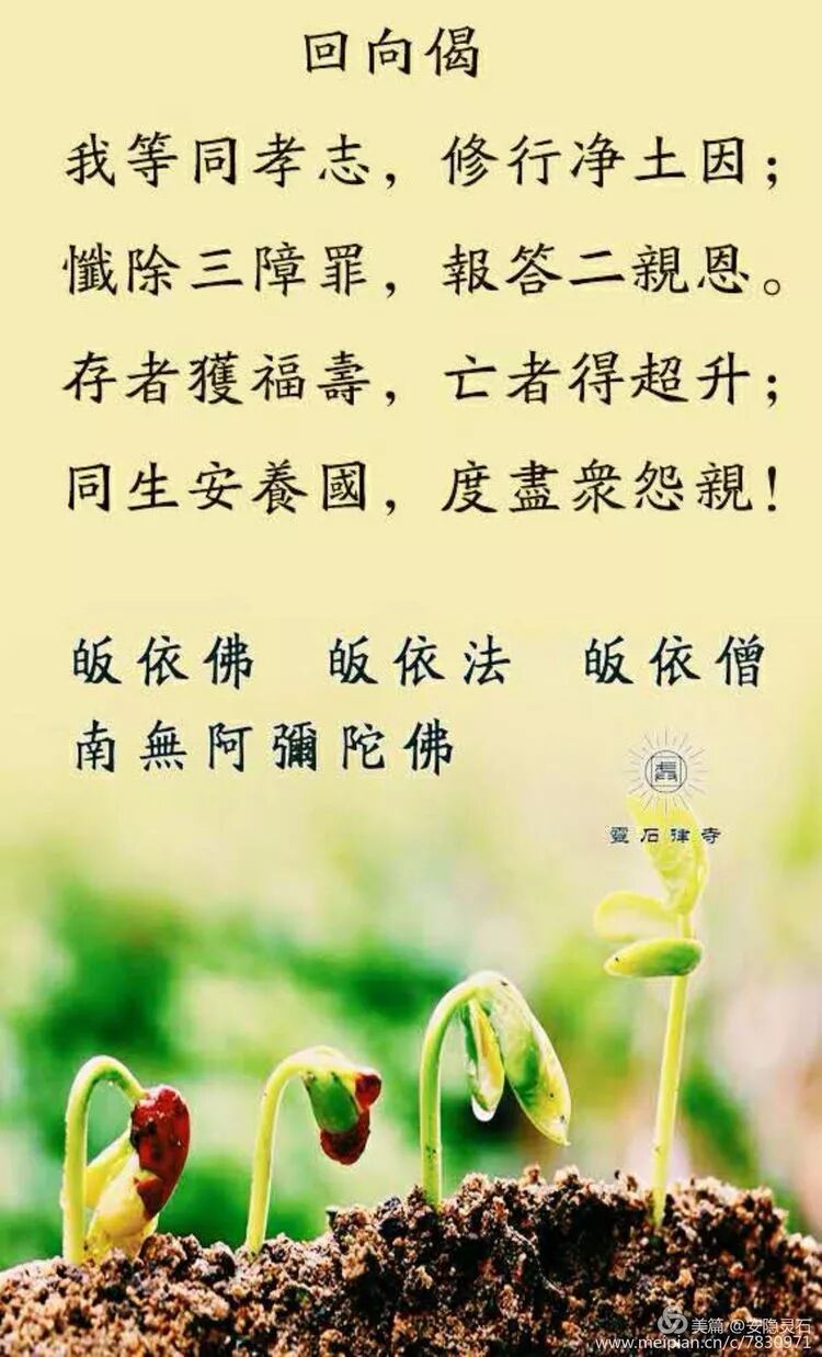 【中元孝亲报恩专题】七月十五佛欢喜，  供僧斋僧报亲恩！