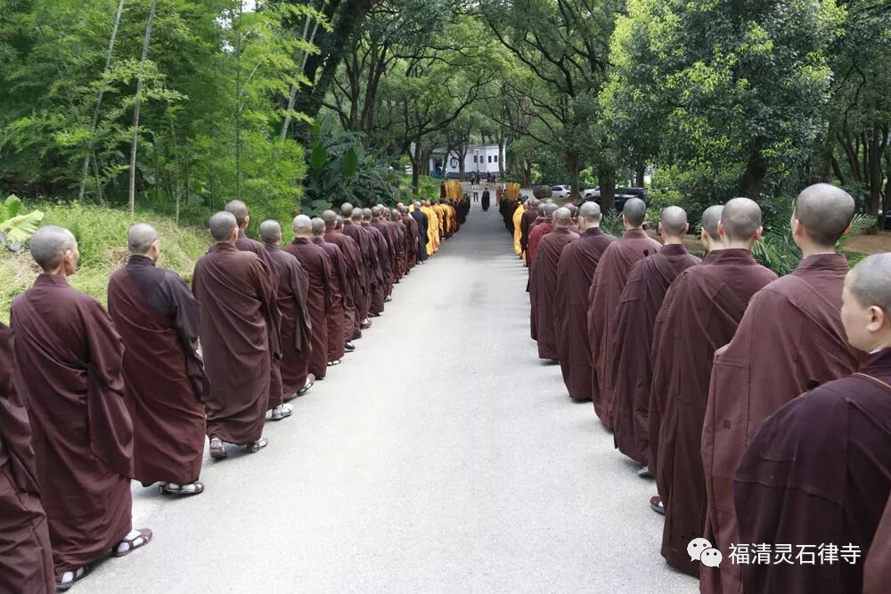 【追思剪影】上慧下本师父离开我们的49天