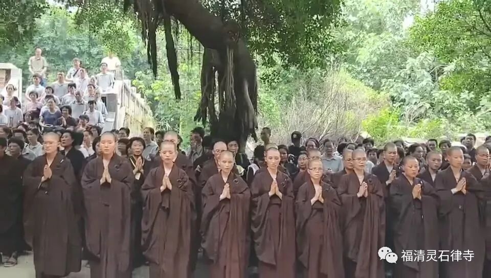 【追思剪影】上慧下本师父离开我们的49天