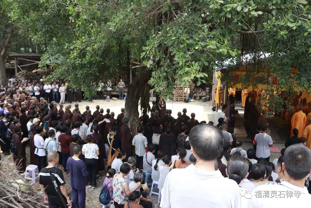 【追思剪影】上慧下本师父离开我们的49天