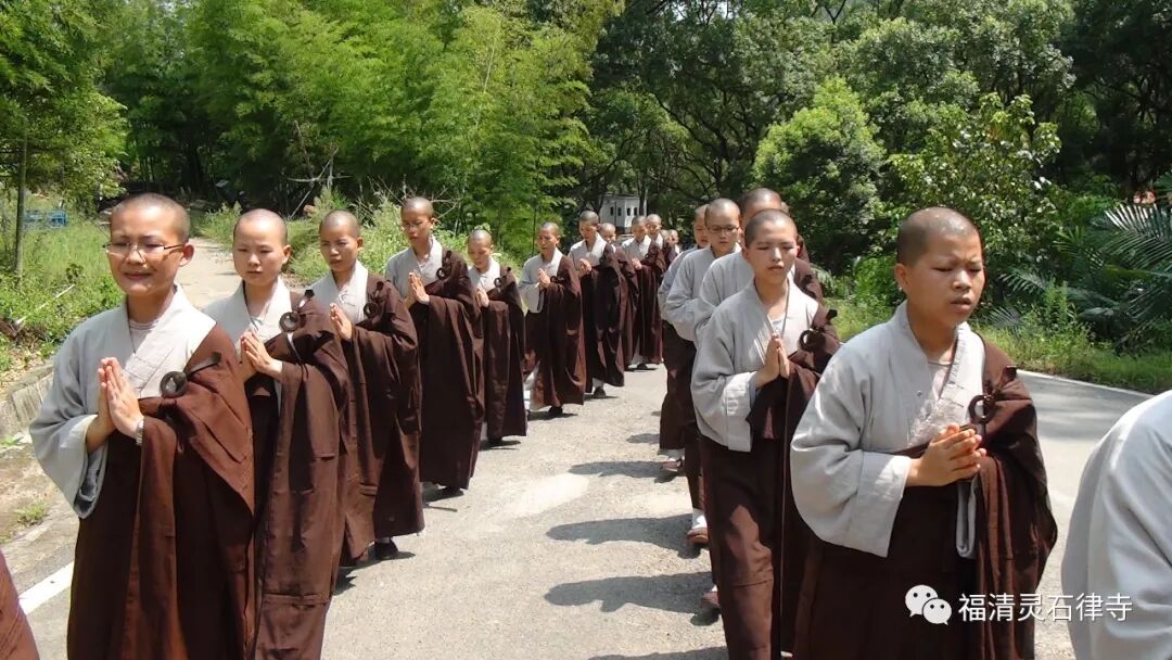 【追思剪影】上慧下本师父离开我们的49天
