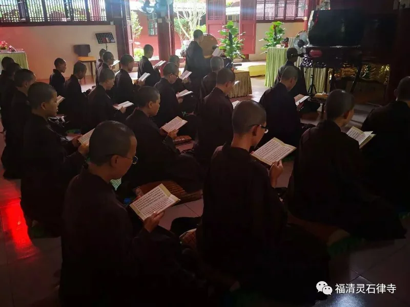 【追思剪影】上慧下本师父离开我们的49天