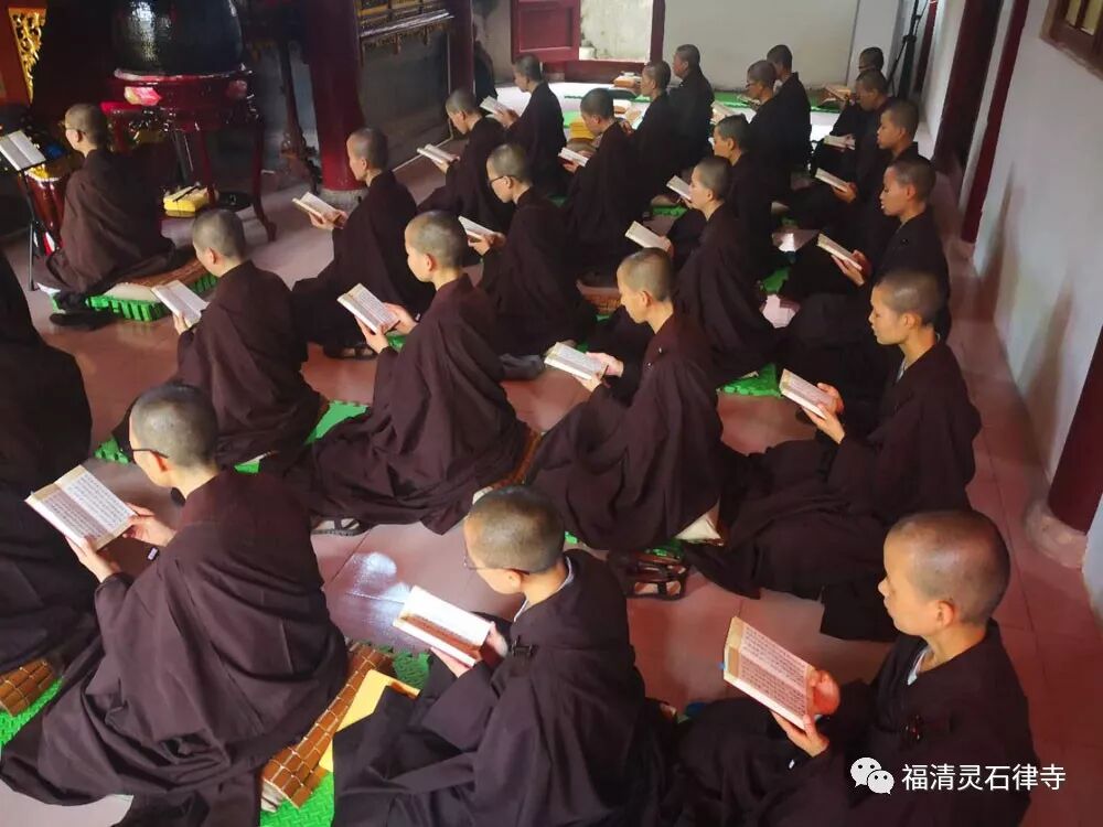 【追思剪影】上慧下本师父离开我们的49天