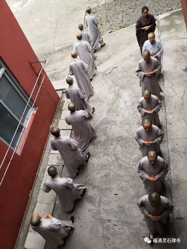 【追思剪影】上慧下本师父离开我们的49天