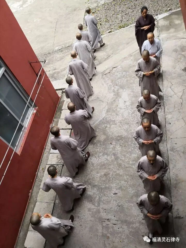 【追思剪影】上慧下本师父离开我们的49天
