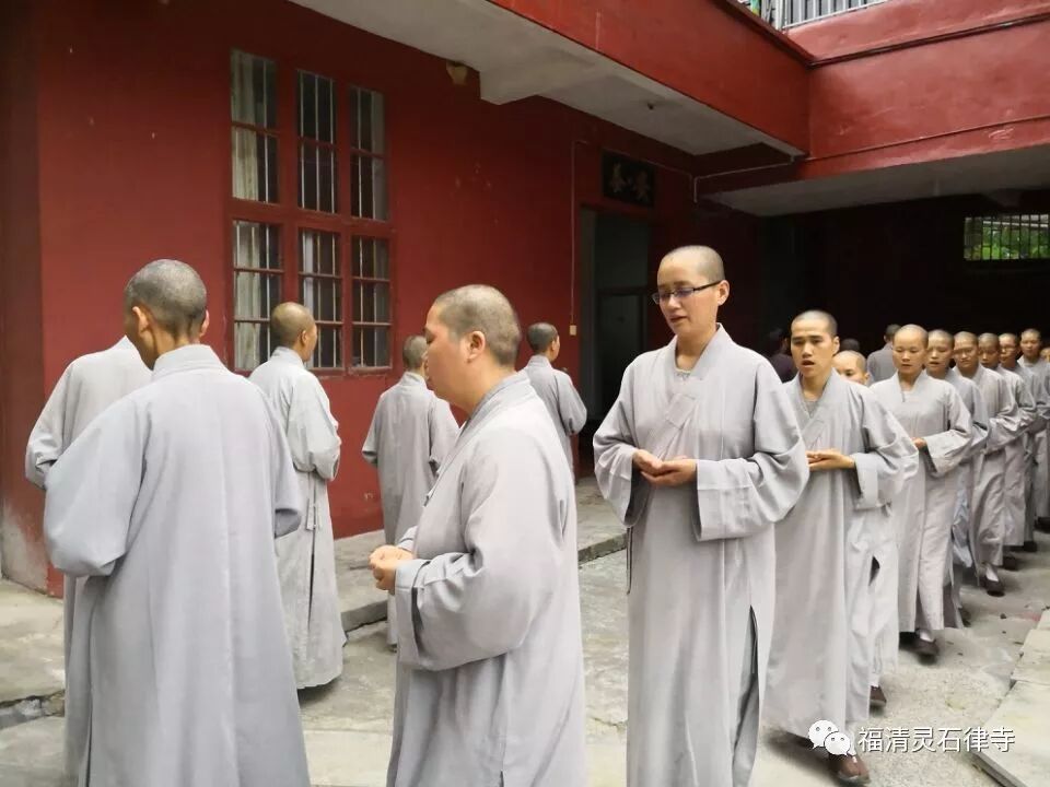 【追思剪影】上慧下本师父离开我们的49天
