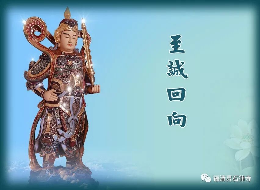 【追思剪影】上慧下本师父离开我们的49天