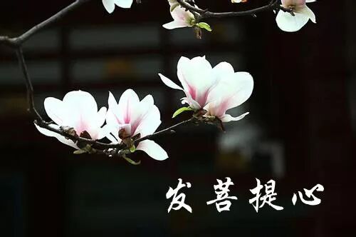 【念佛法语二十三】弘一大师：修净土宗的头等大事是什么？（一）