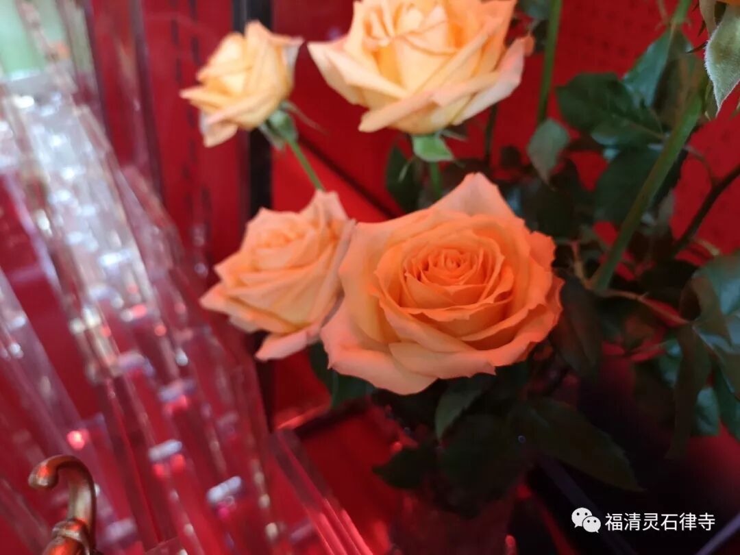【灵石剪影】2018年灵石律寺恭迎观世音菩萨出家吉日诵经念佛法会
