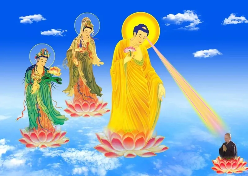 【念佛法语之四十】为什么念佛者多，往生者少？（三）