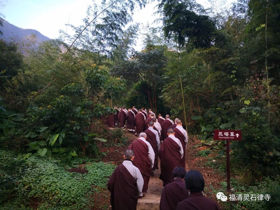 【灵石剪影】慎终追远，策勉后学——灵石律寺全体师僧礼塔祭祖