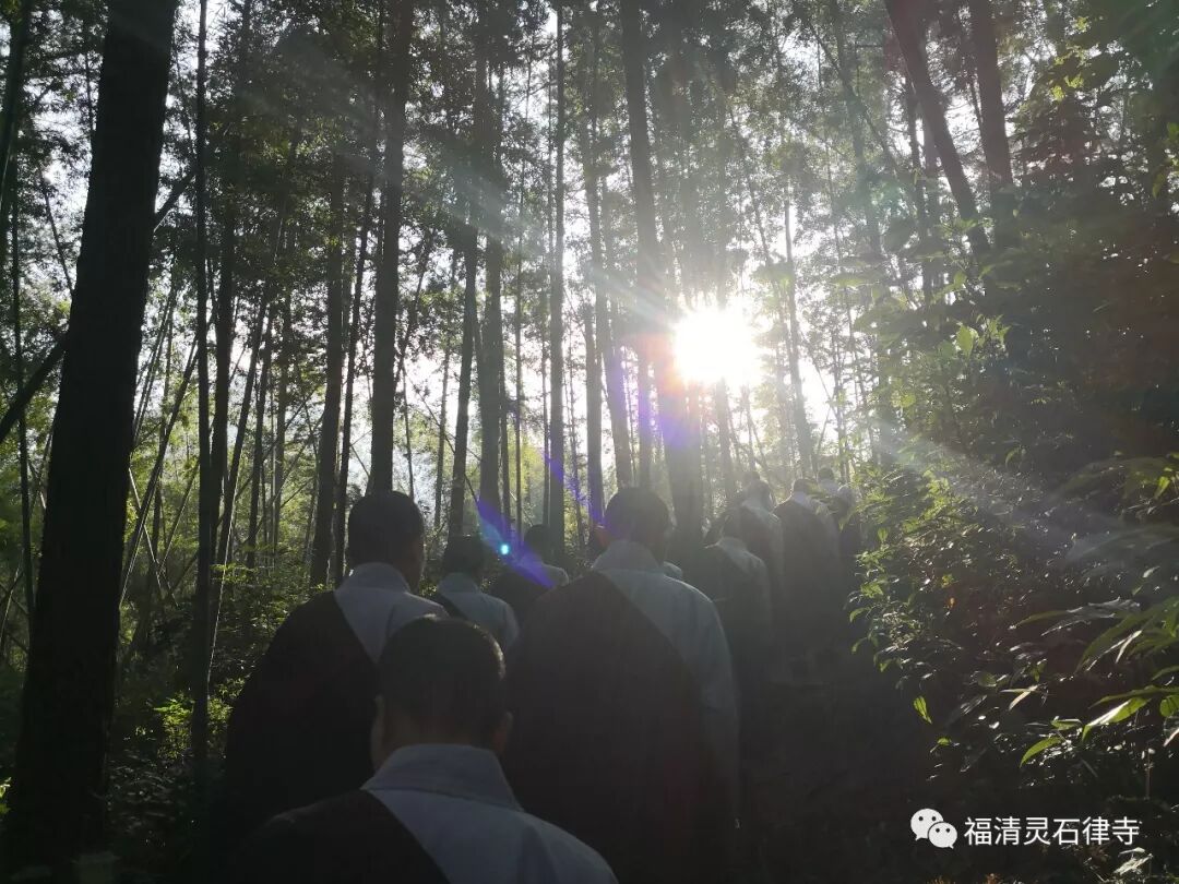 【灵石剪影】慎终追远，策勉后学——灵石律寺全体师僧礼塔祭祖