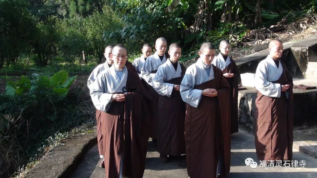 【灵石剪影】慎终追远，策勉后学——灵石律寺全体师僧礼塔祭祖