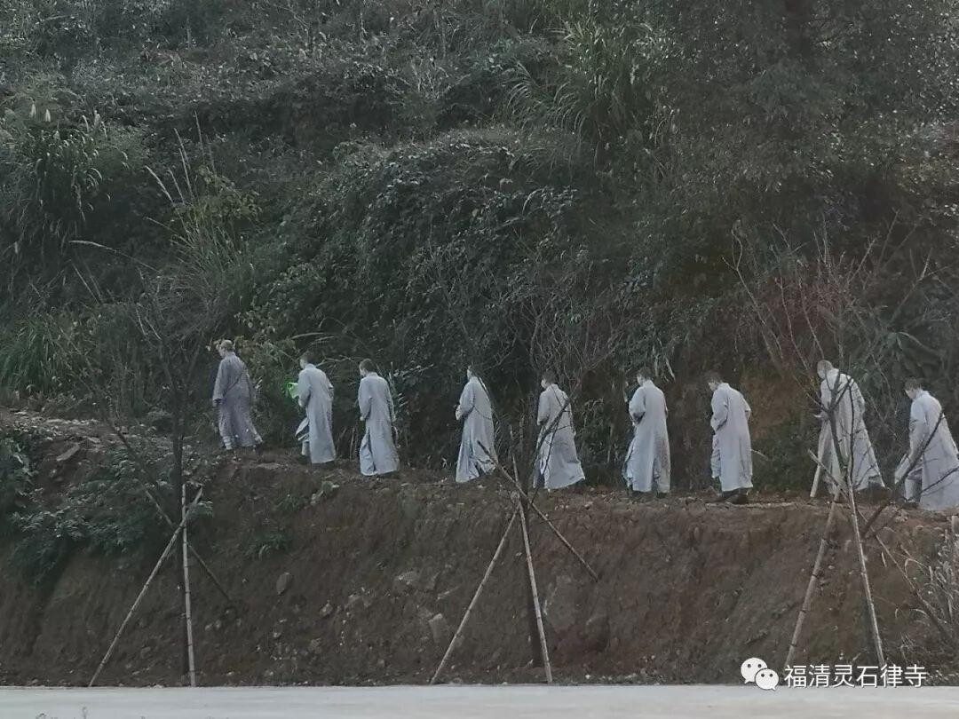 【灵石剪影】慎终追远，策勉后学——灵石律寺全体师僧礼塔祭祖