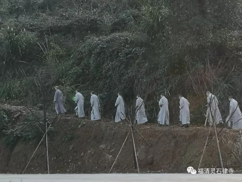 【灵石剪影】慎终追远，策勉后学——灵石律寺全体师僧礼塔祭祖