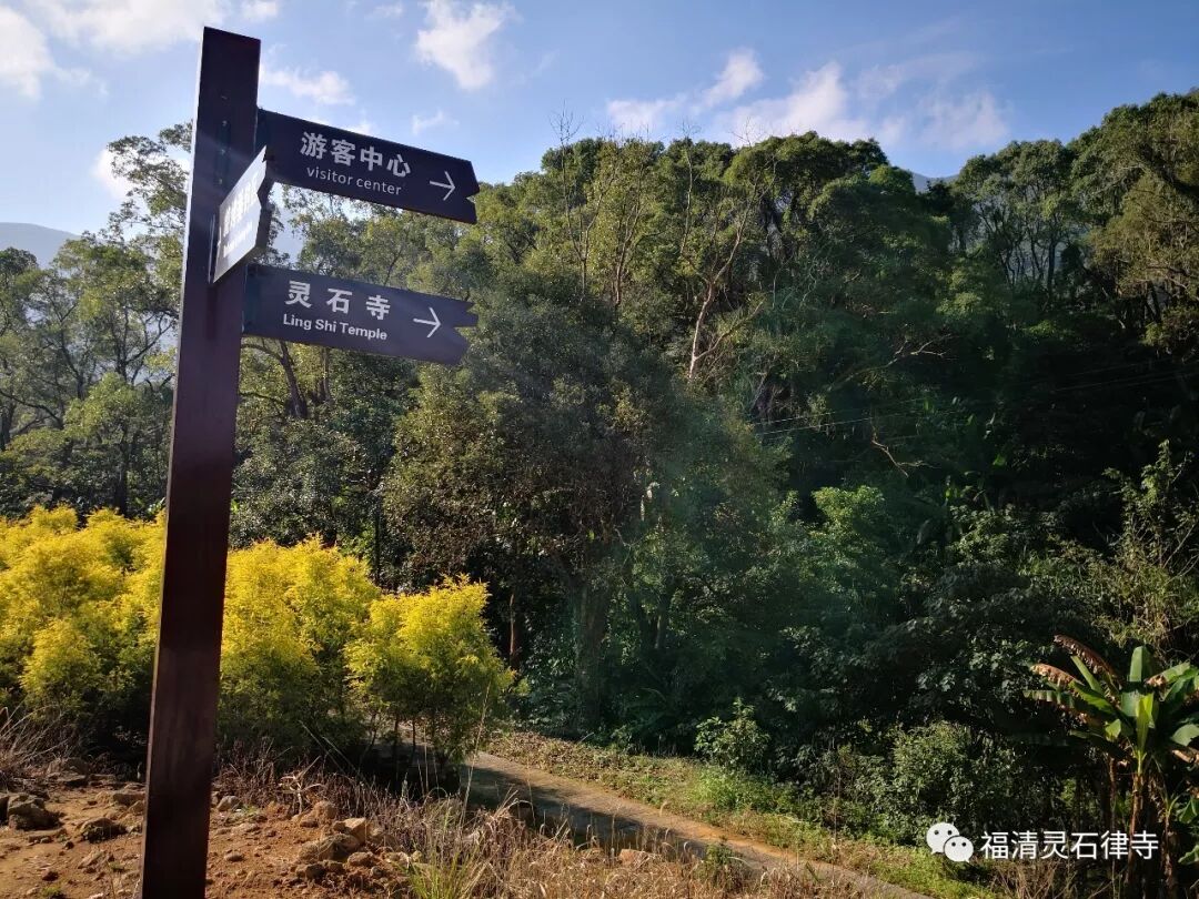 【灵石剪影】慎终追远，策勉后学——灵石律寺全体师僧礼塔祭祖