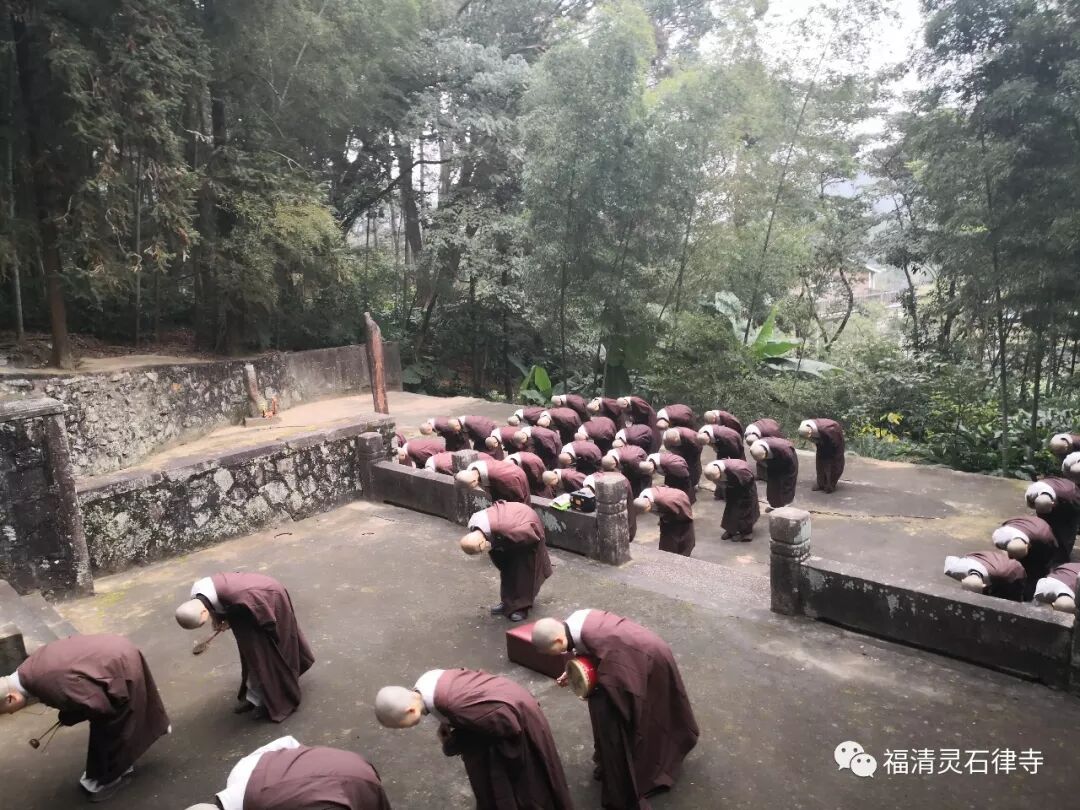 【灵石剪影】灵石律寺两序大众岁末祭祖礼塔