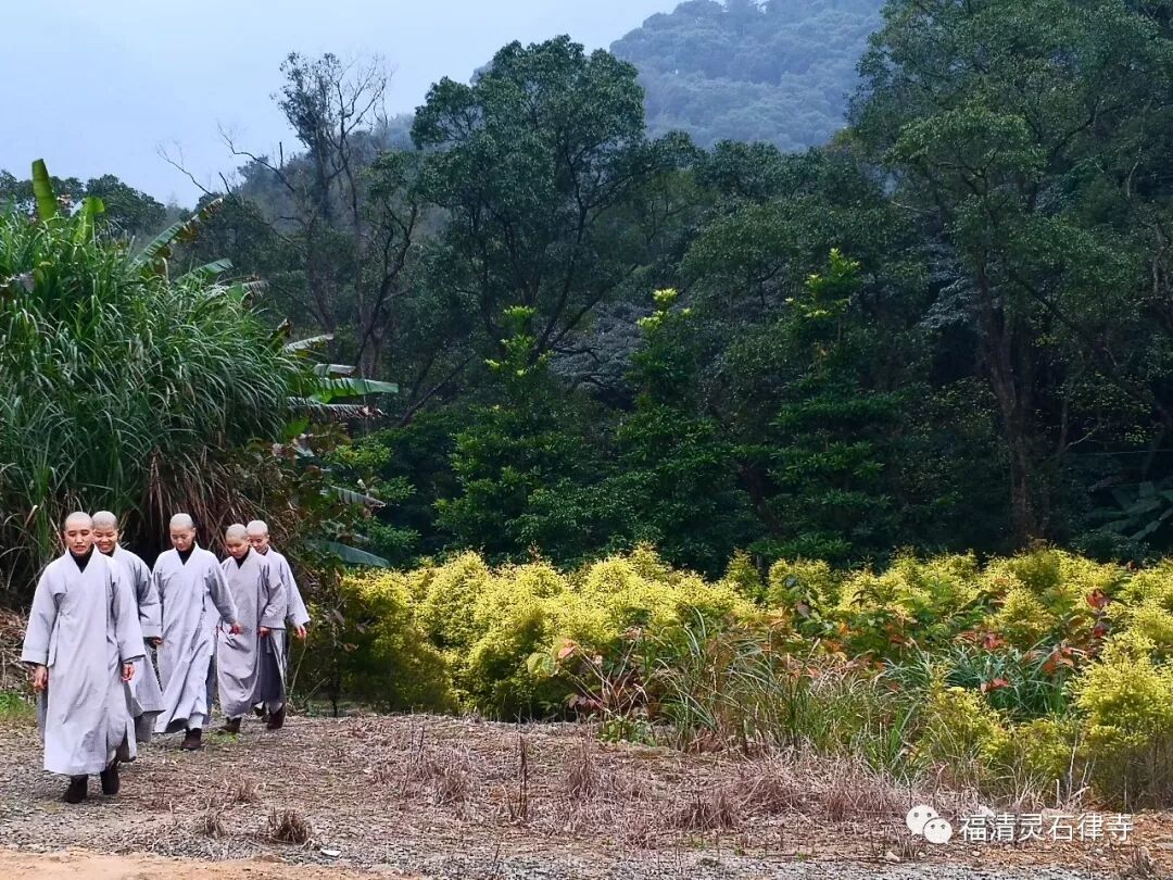 【灵石剪影】灵石律寺两序大众岁末祭祖礼塔