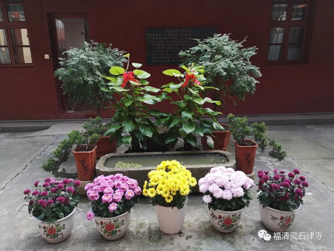 【视频剪影】2019灵石律寺恭迎观世音菩萨暨普贤菩萨圣诞法会