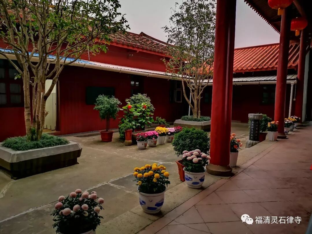 【二课合解浅释】卷首篇之六：念诵时，身口意应如何行持？