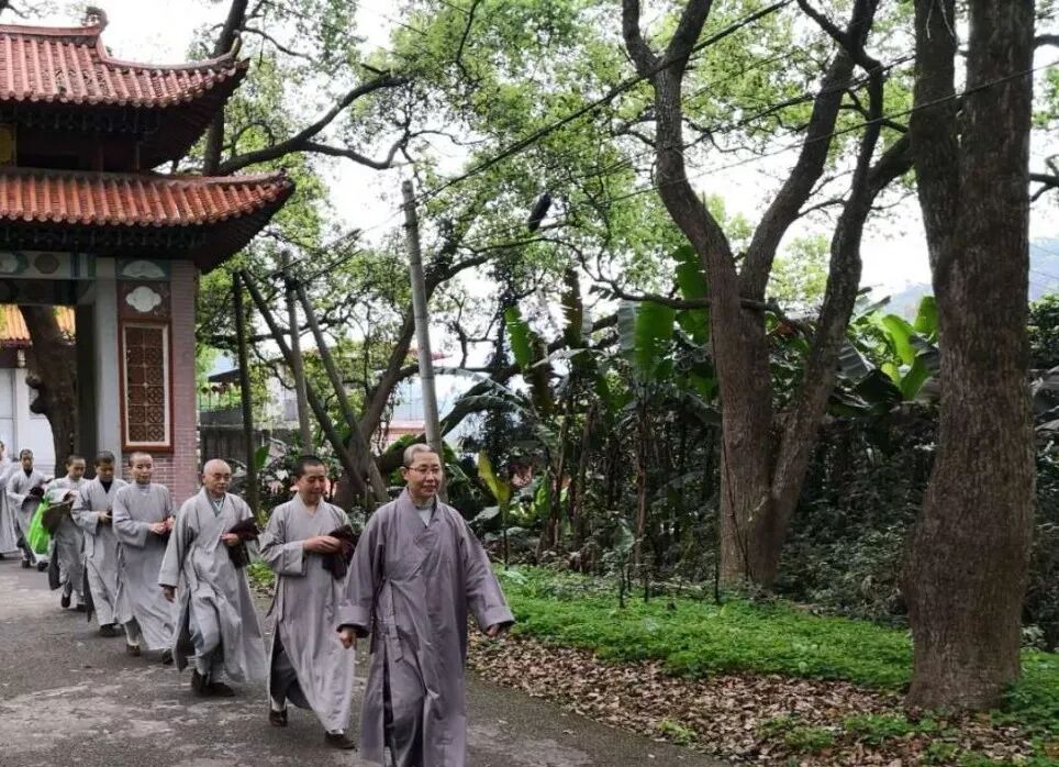 【剪影】清明将至，源本兴思—2019灵石律寺两序大众祭祖礼塔