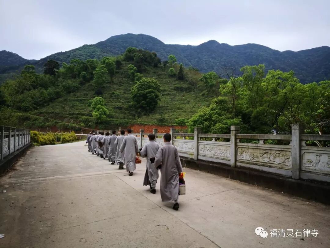 【剪影】清明将至，源本兴思—2019灵石律寺两序大众祭祖礼塔