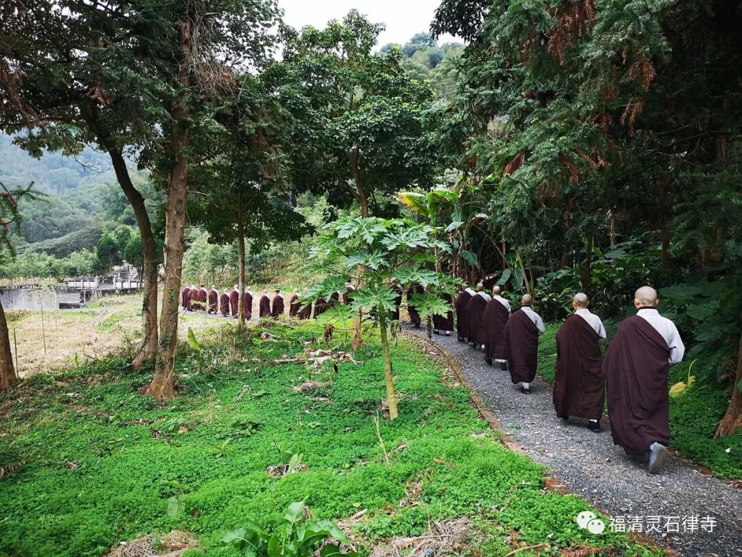 【剪影】清明将至，源本兴思—2019灵石律寺两序大众祭祖礼塔