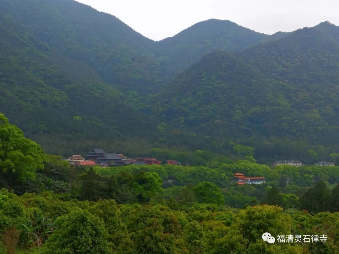 【剪影】清明将至，源本兴思—2019灵石律寺两序大众祭祖礼塔