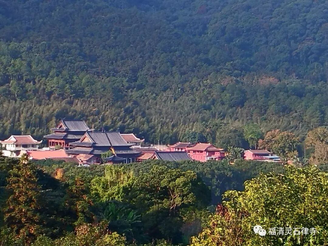 【二课合解浅释】卷一篇：为什么每天早晨要先诵《阿难发愿偈》？