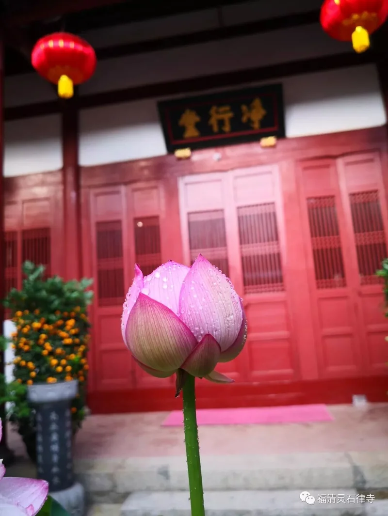 【二课合解浅释】卷一篇：“妙湛总持不动尊”是什么样的境界？