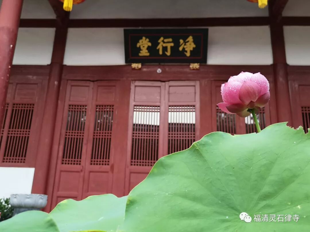 【追思法讯】（明日）上慧下本师父圆寂一周年祭日法讯
