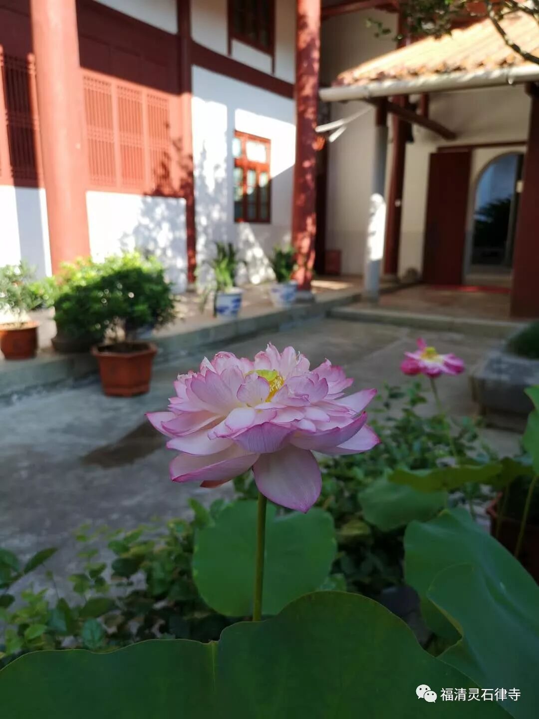 【学佛行仪之入寺院第四之四】常被混淆的宗教场所名称