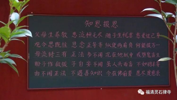 【法会剪影之二】2019灵石律寺盂兰盆孝亲报恩法会之诵经报恩篇