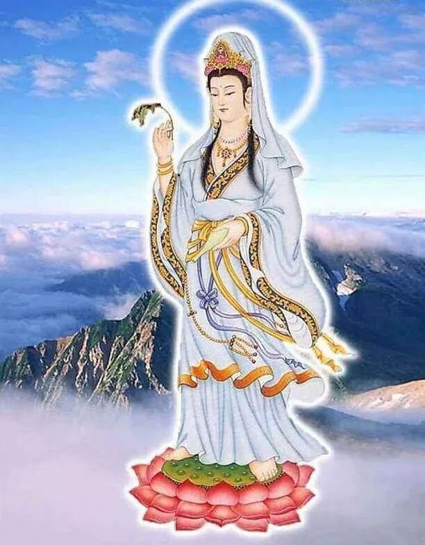 【二课合解之卷一篇】什么样的悲心才称得上圆满