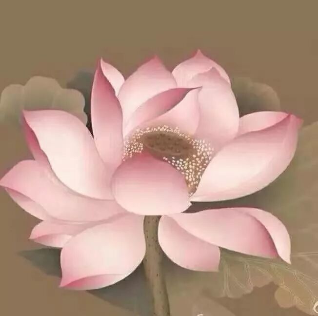 【佛菩萨圣诞法语】恭迎阿弥陀佛圣诞，我们一起来念佛，十大功德莫错过！
