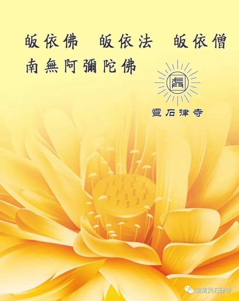 【节日专题法语】除夕，如何让身心辞旧迎新？