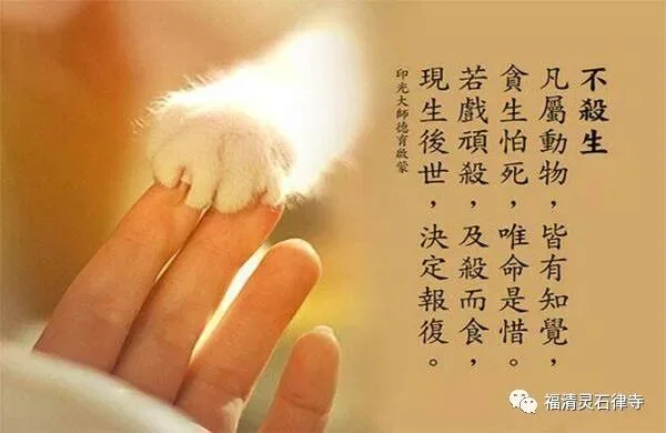 【抗疫专题法语】吃素，难在哪里？