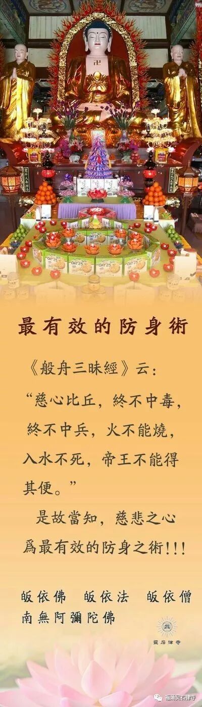 【抗疫专题法语】最有效的防身术