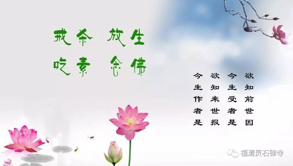 【抗疫专题法语】只要心好，不必吃素，这种观点对吗？
