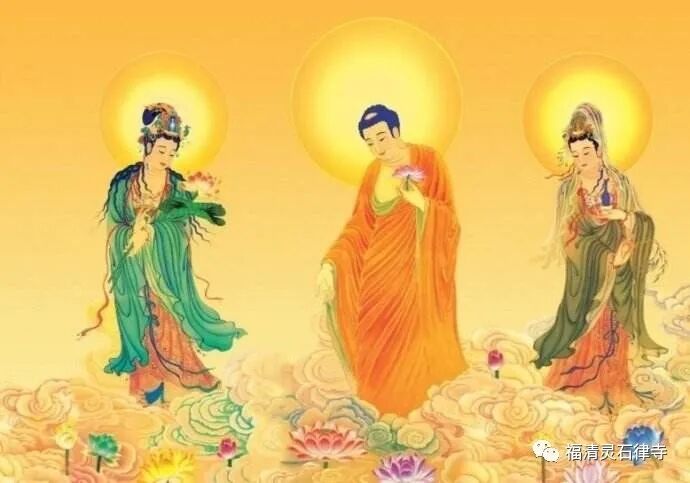 【抗疫专题法语】佛陀亲授的治愈瘟疫之方