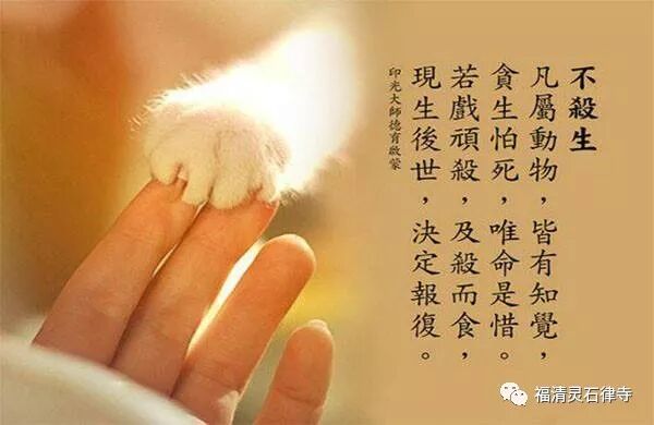 【祖师法语】念佛不可以杀生！