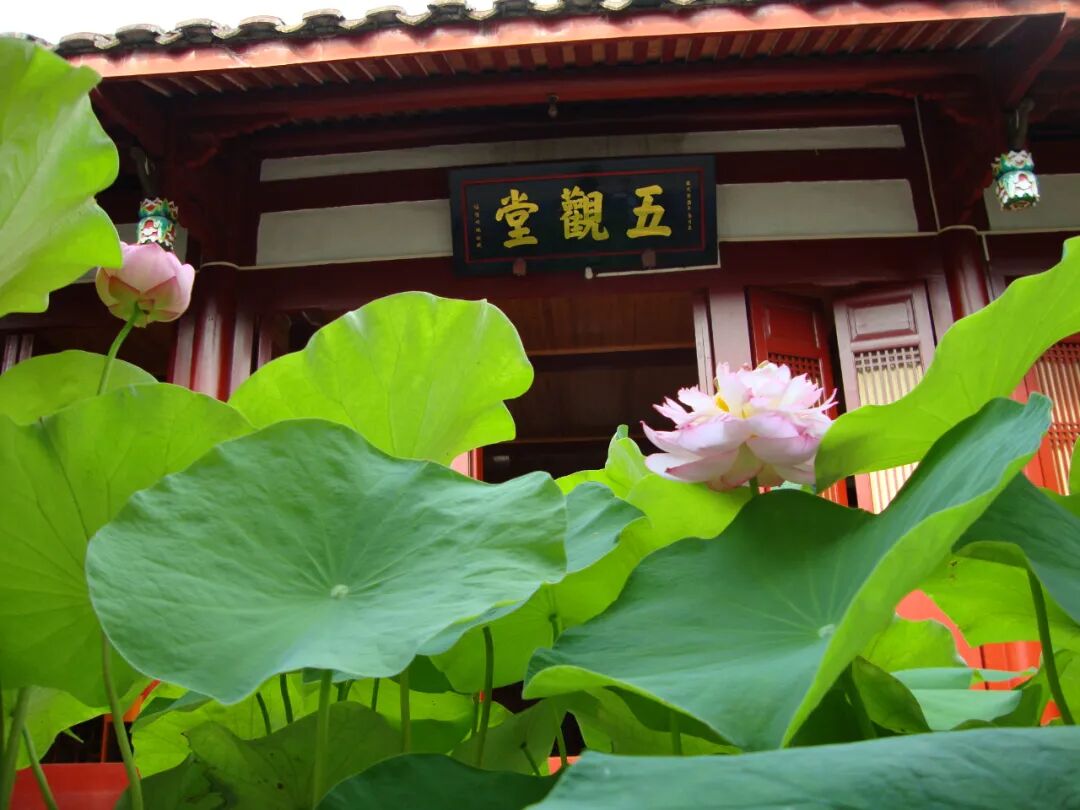 【学佛行仪之入寺院四十八】寺院的“斋堂”为何又称为“五观堂”？