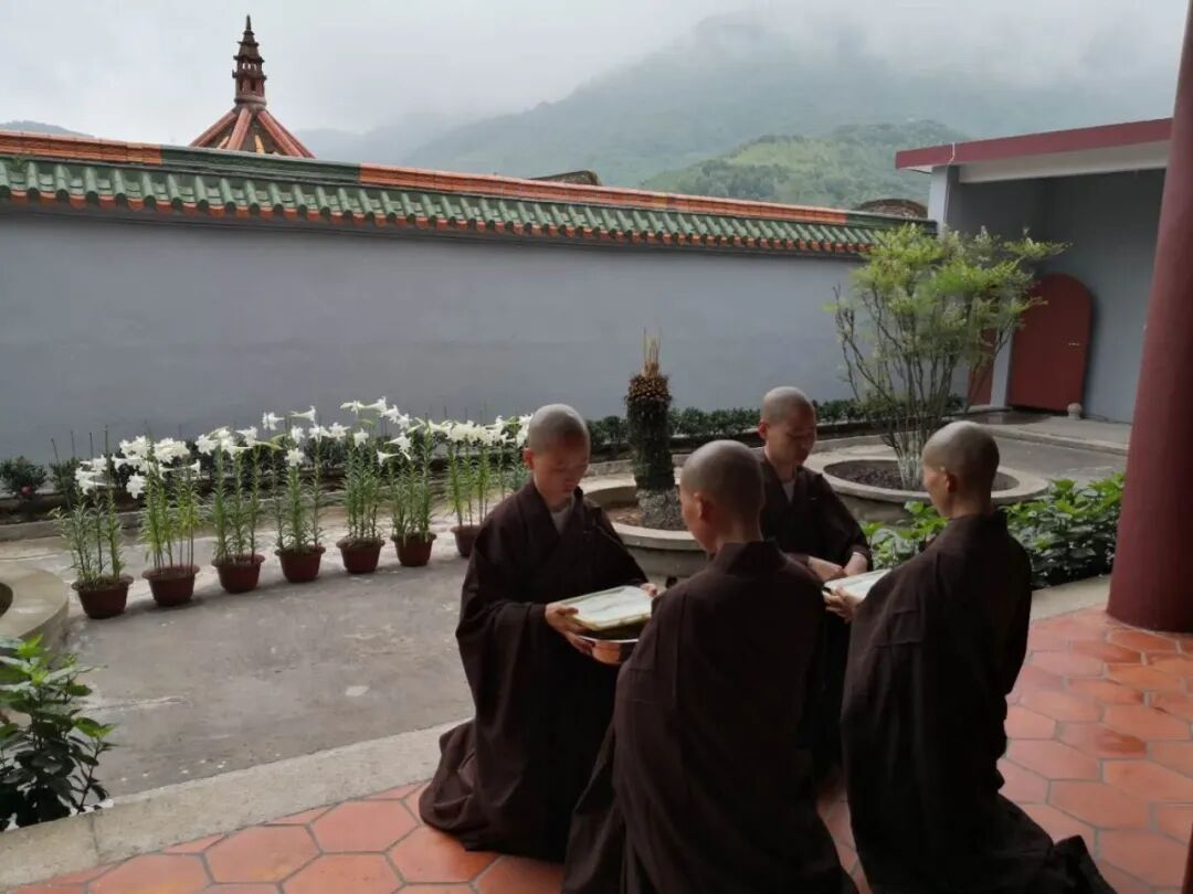 【剪影】2020年灵石律寺结夏安居
